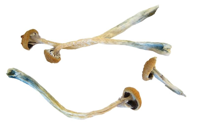 Health Rounds: Researchers gain new insight into how psychedelics affect the brain-