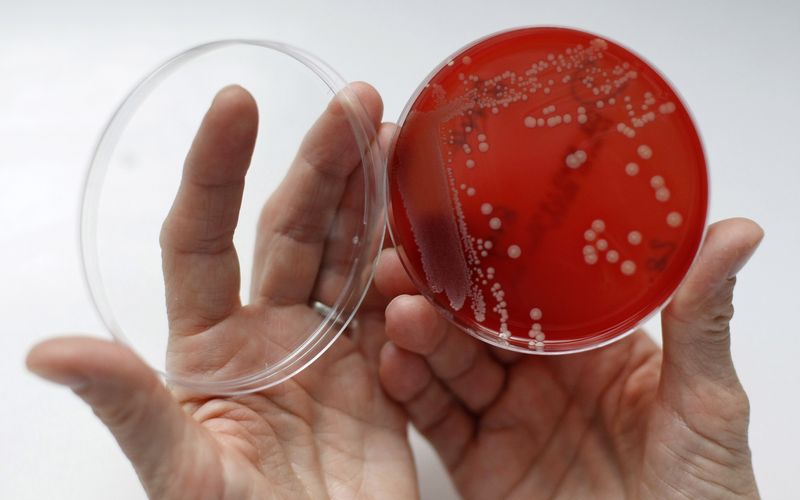 Health Rounds: Viruses may hold key to tackling deadly bacterial infection-