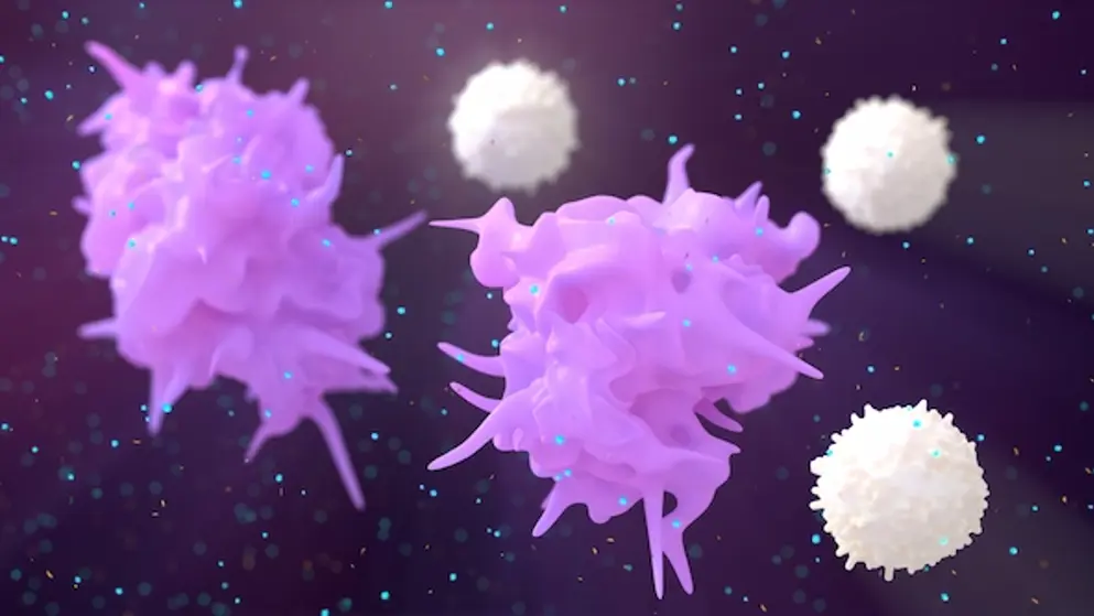 Digital image of macrophages and lymphocytes.
