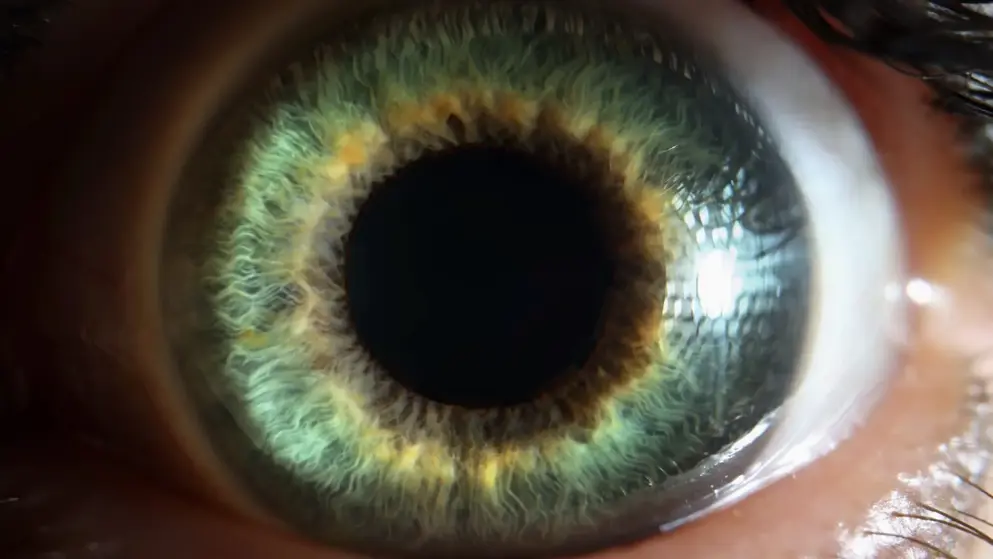 Adobe_471230796 Biosimilars retinal disease teaser, eye ball