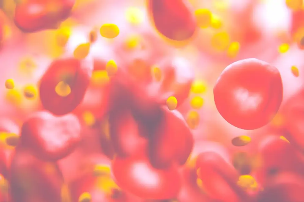 Red blood cells