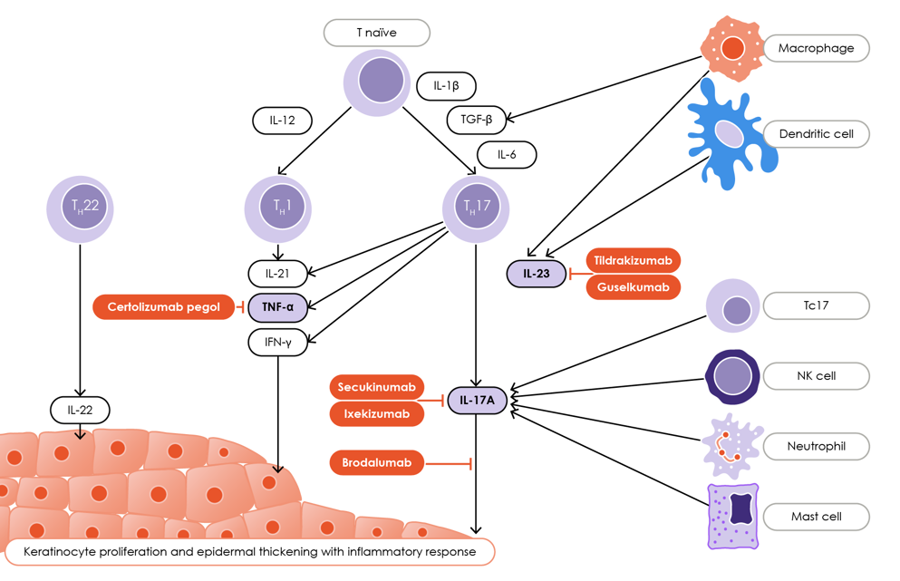 argeted biologics in Phase III clinical trials for use in children with plaque psoriasis