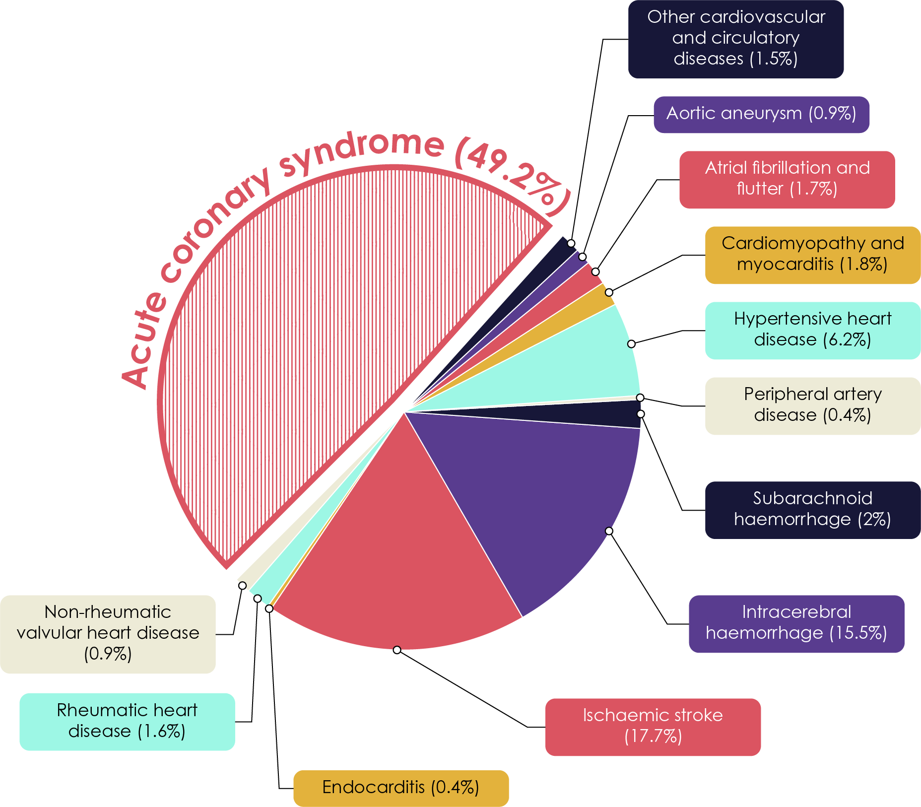 Proportion of global cardiovascular disease deaths in 2019 by underlying causes