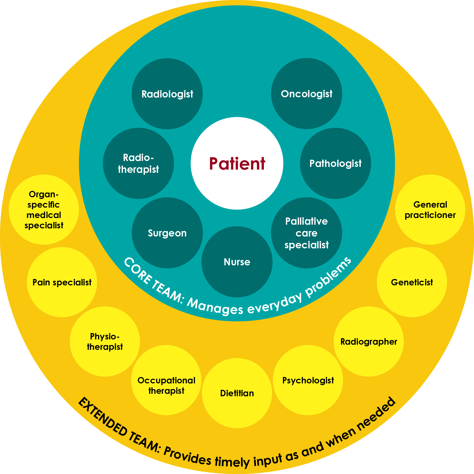 Figure 1. Members of the supportive care team