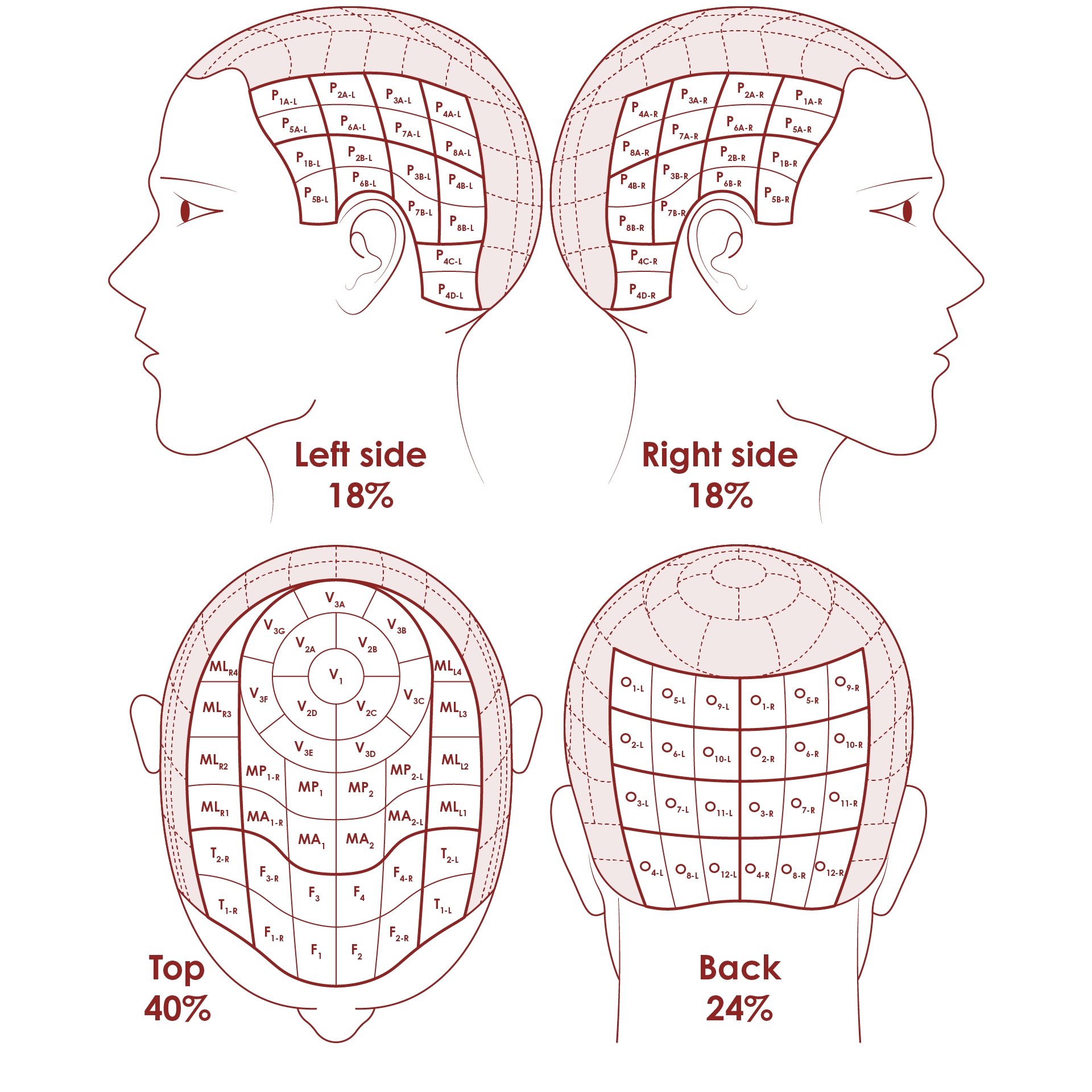 SALT I and SALT II assessment measures for alopecia areata B