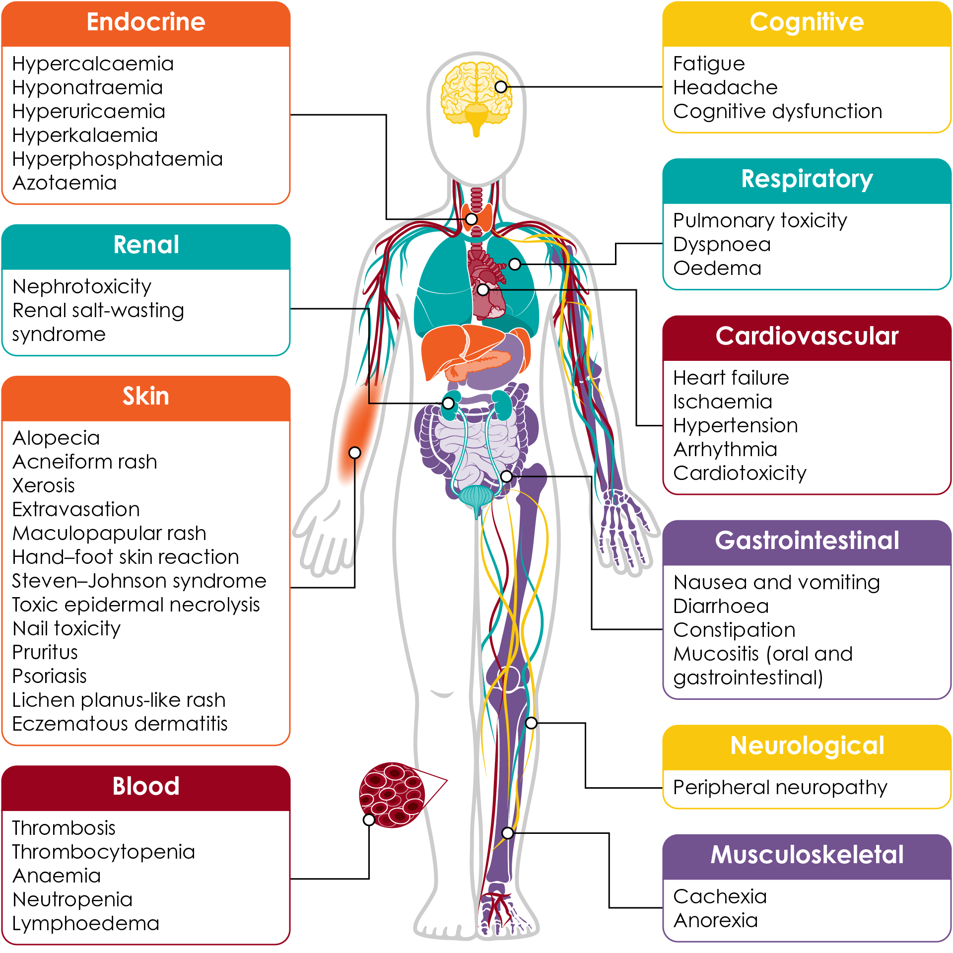 Figure 3. Summary of the side effects of cancer treatment on body systems118.