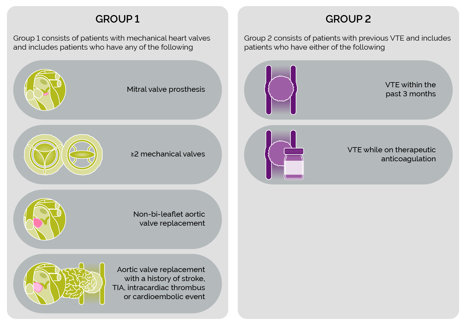 Expert consensus of two patient populations at high risk of VTE