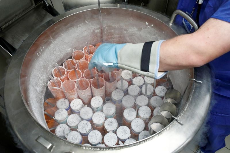 Health Rounds: Experimental treatment may improve odds of in vitro fertilization success-